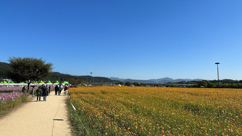 농지로 기억하는 하중도…대구 첫 정원박람회 가보니