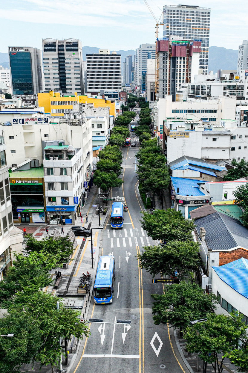 내달 대구 중앙로 대중교통전용지구 북편 구간 해제