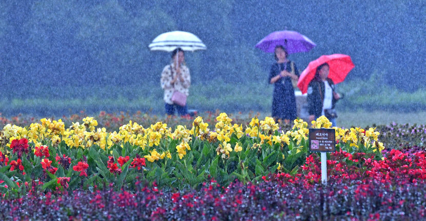 201809211737470446968632_0