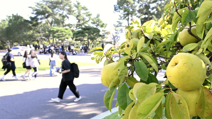 대구경북 아침 최저 기온 4~8℃ 뚝 떨어져…경북 일부는 서리 보이기도