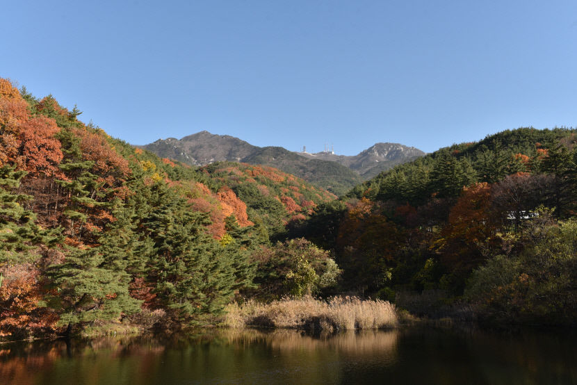 [토크 人사이드] 조명래 팔공산연구소·팔공산문화포럼 회장