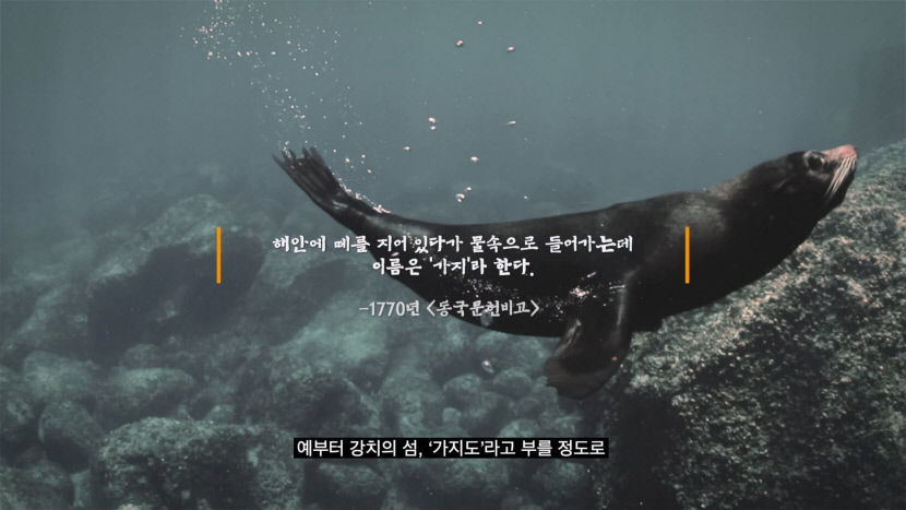clip20231025102510