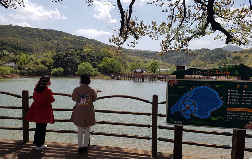 [문경 가볼만한 곳]  문경 틀모산 생태공원, 은빛 억새 즐기며 산책하기 안성맞춤