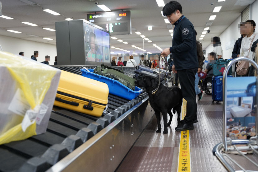 주시경 대구본부세관장, 마약반입 차단 위한 대구국제공항 현장 점검