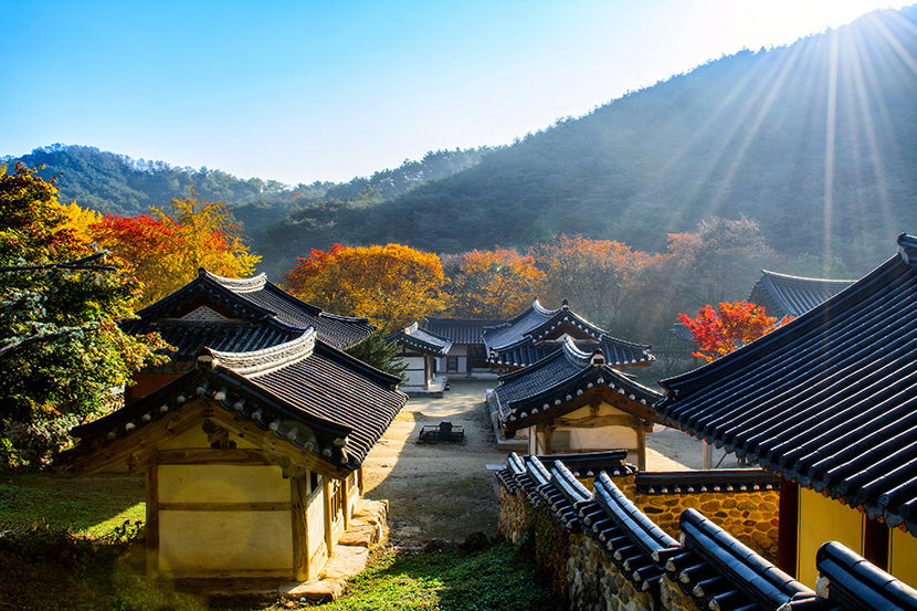 [영주 가볼만한 곳] 영주 부석사 일원서 농특산물 축제…로이킴·이무진 등 공연