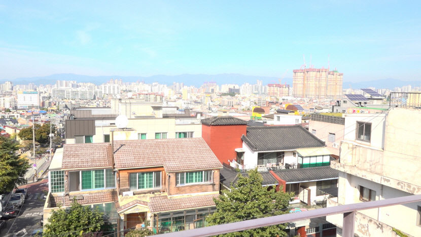 XMZ 세대별 대구의 대표 장소는?…동성로·김광석거리 고정적인 장소 없어