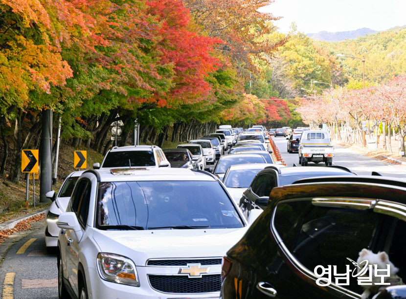 [포토뉴스] 가을 행락객 차량들로 북적이는 팔공산로
