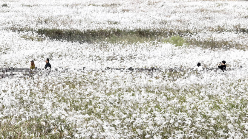 2023103001000901000037751