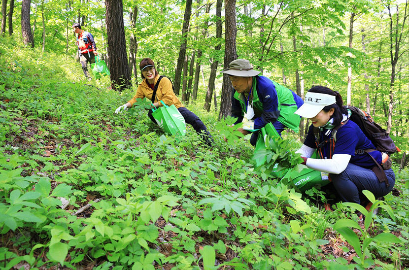 [별 따라 이야기 따라 영양에 취하다 .10] 영양 산나물축제와 조지훈예술제