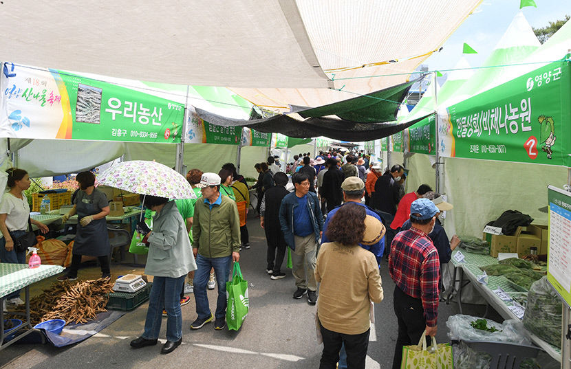 [별 따라 이야기 따라 영양에 취하다 .10] 영양 산나물축제와 조지훈예술제
