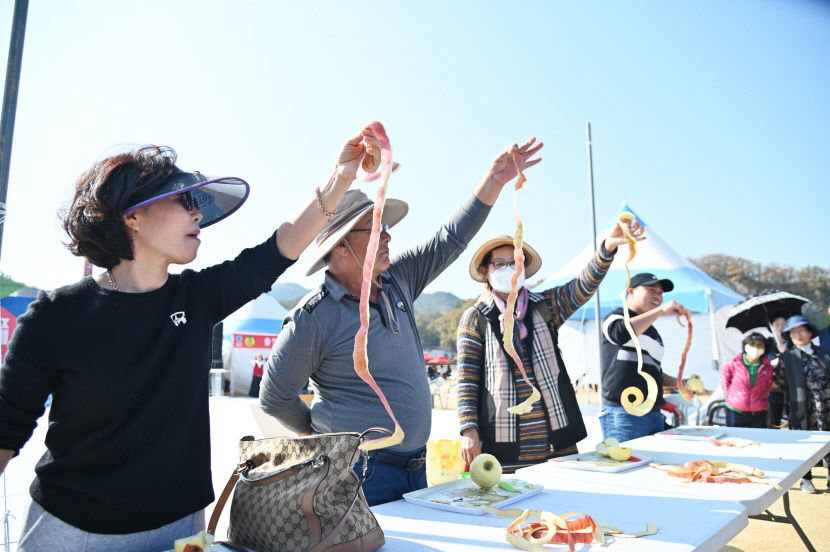 청송사과축제 성황리에 막내려…50만명 다녀가 500억 경제 효과