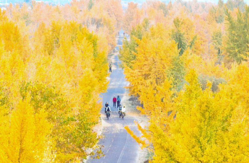 2023110901000316100011781