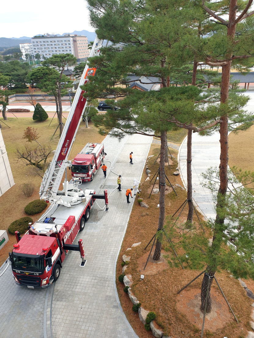 말벌1