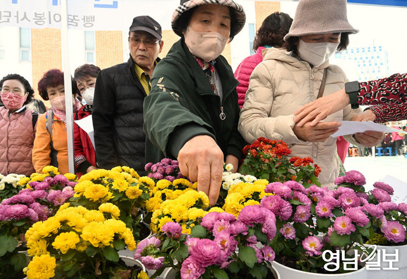 [포토뉴스] 꽃으로 마음 치유