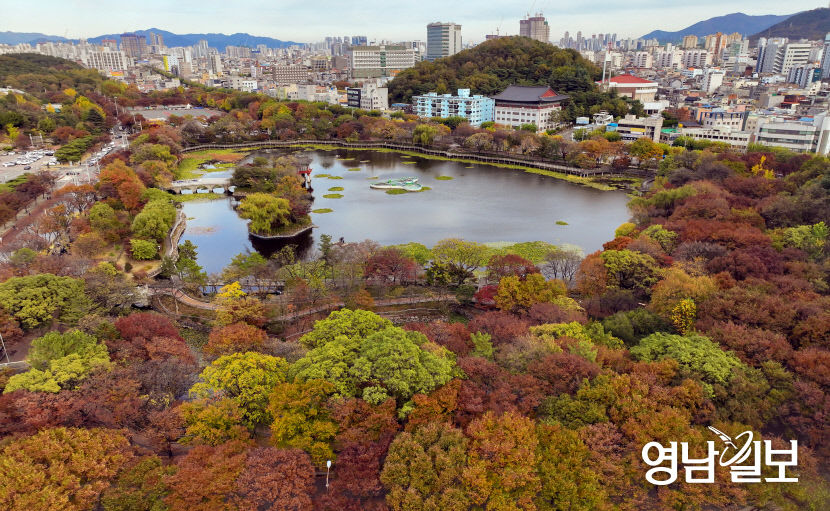 [포토뉴스] 만추의 대구 성당못