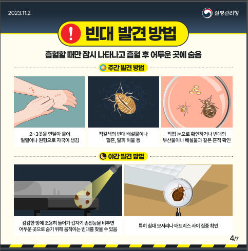 빈대 포비아 확산에…대구시, 공중 위생업소 합동 점검 실시