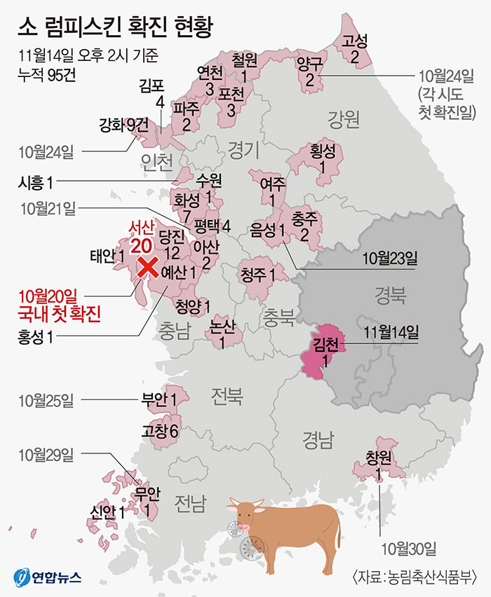 경북 첫 럼피스킨 발생 김천 농가 주변은 적막