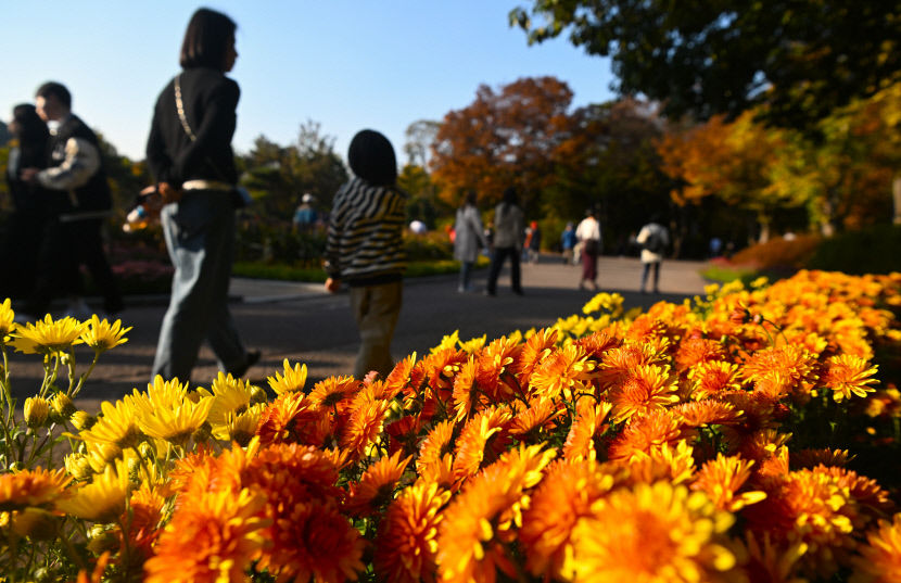 2023111401000459300017841