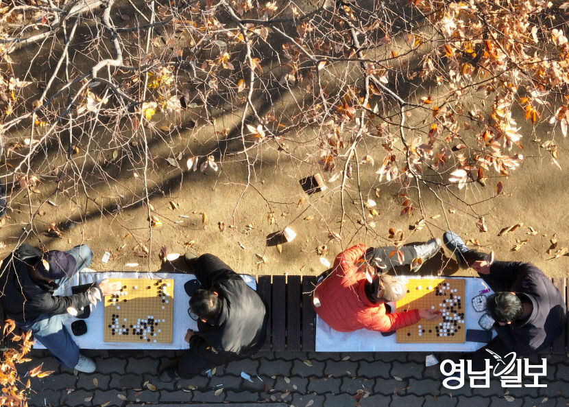 [포토뉴스] 포근한 날씨 속 야외 바둑 즐기는 어르신들