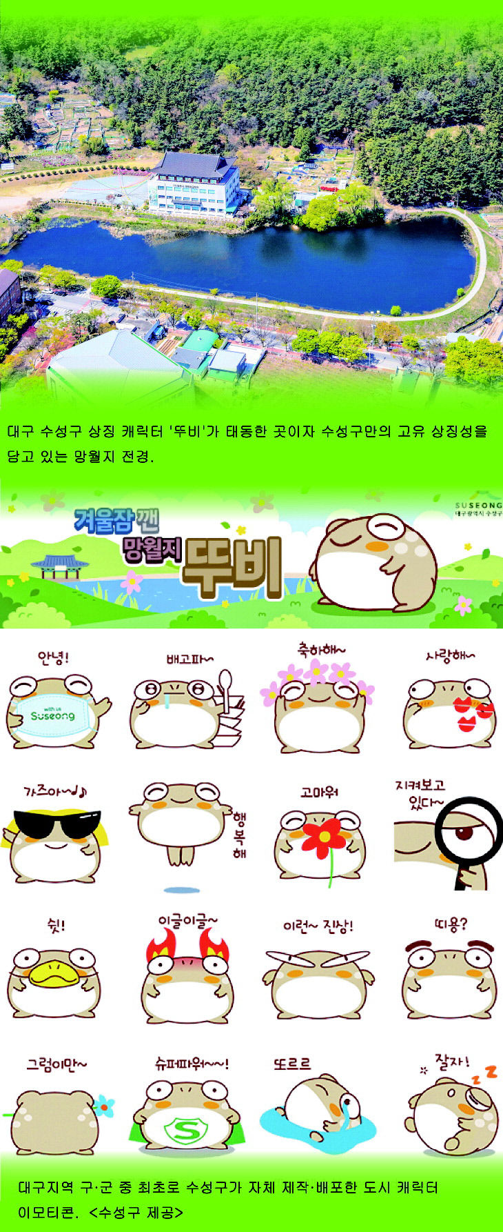 수성구 알릴 두꺼비 뚜비가 온다…지역 정체성 담은 캐릭터