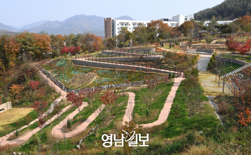 [세계로 가는 청정관광1번지 산소카페 청송 .15] 주왕산관광단지 민예촌과 도예촌 그리고 솔빛정원