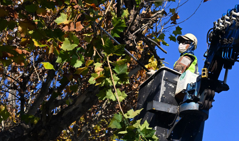 2023112301000787000032351