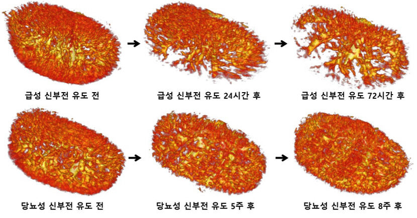 대표연구이미지