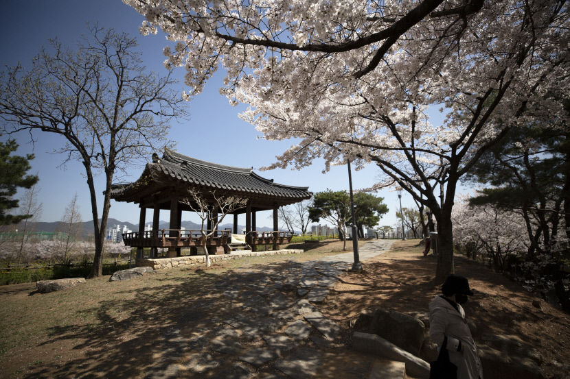 사진연구소 빛그림방 기획 대구를 보다12 대구의 누정(樓亭)