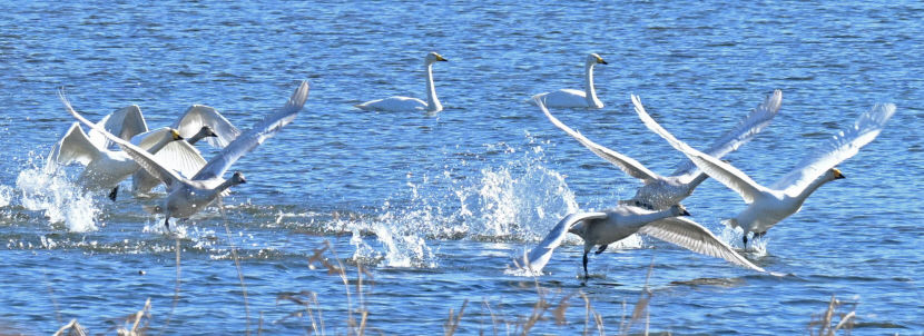 2023120401000081200003091