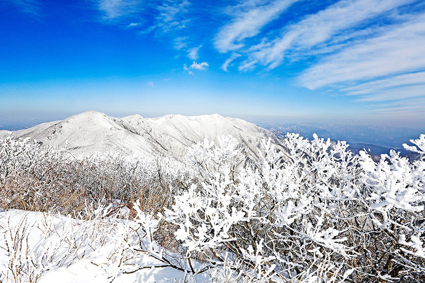 [영주 가볼만한 곳] 겨울왕국 소백산 오르고 웰빙 먹거리로 추위 잊어요
