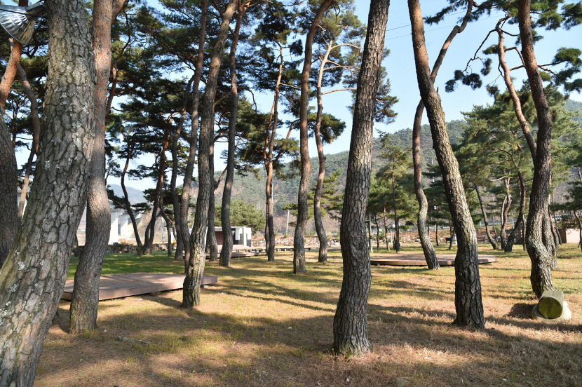 경북 5개소 신규 국가산림문화자산으로 지정…전국 최다