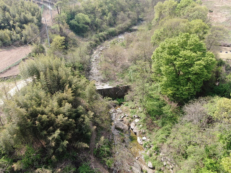 경북 5개소 신규 국가산림문화자산으로 지정…전국 최다