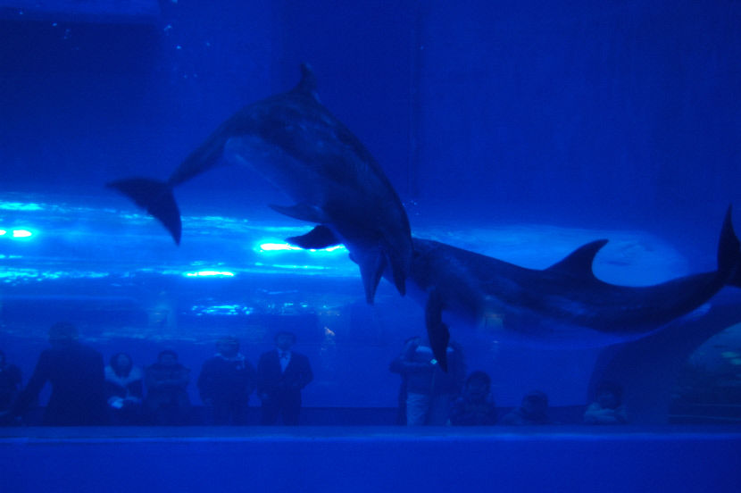 201112021424488257168008_0