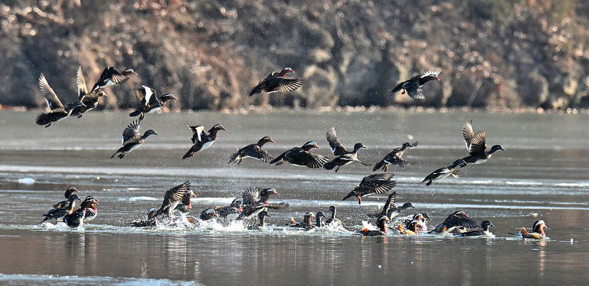 2023122801000954900039771