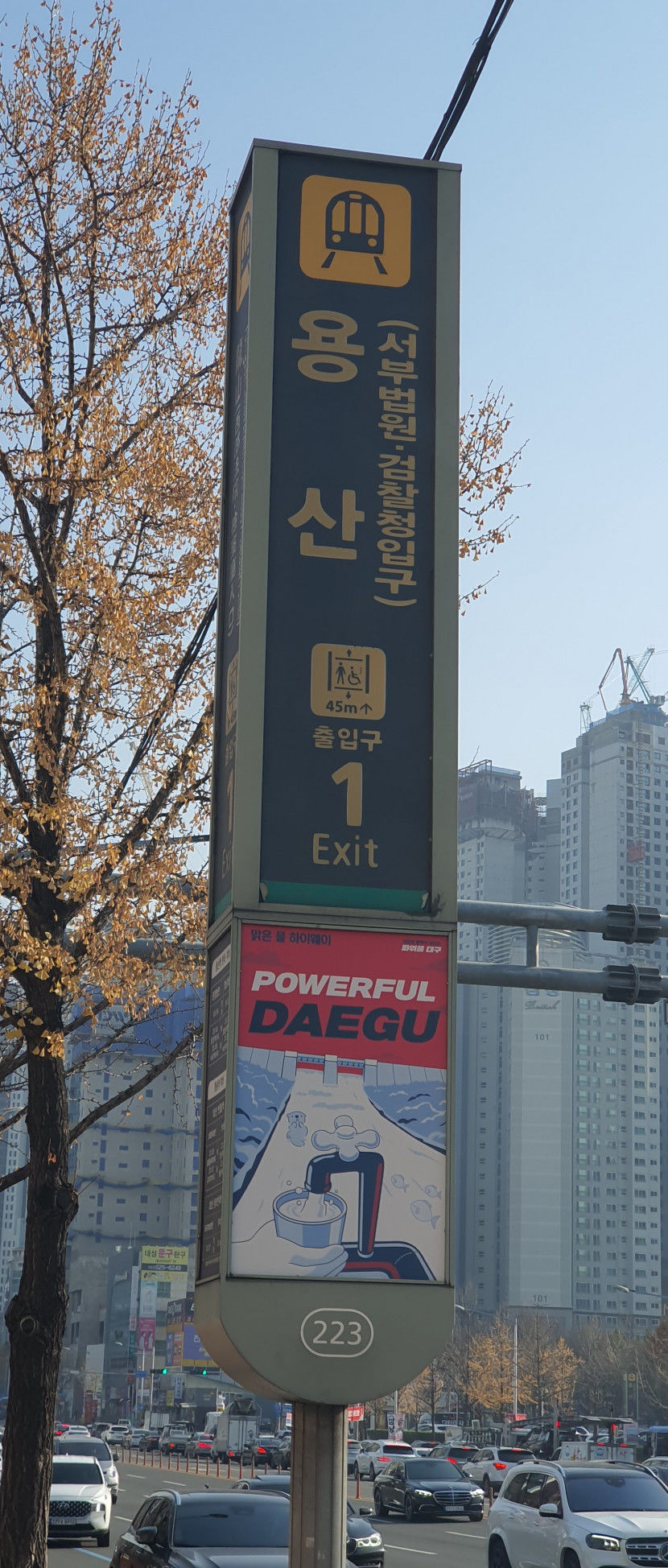 [동네뉴스] 청룡의 해, 청룡의 전설이 담긴 대구 청룡산 눈길