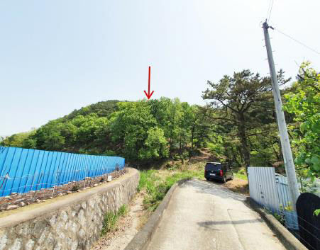 [공매 정보] 대구시 북구 동변동 산106 임야