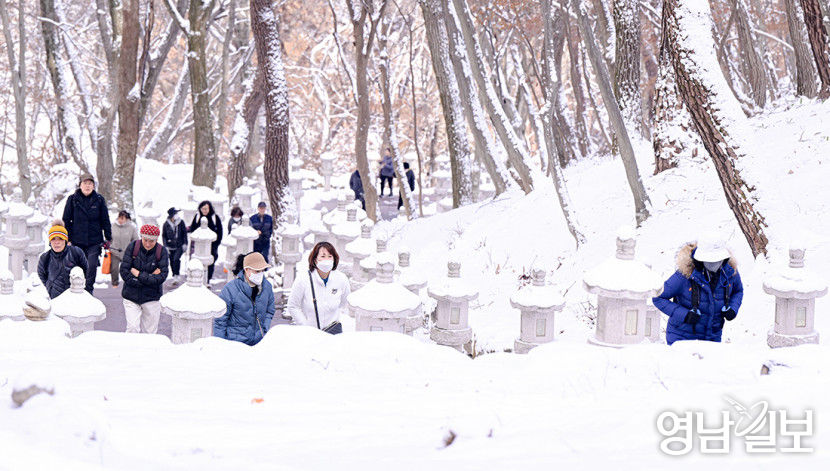 [포토뉴스] 팔공산 雪國 속으로