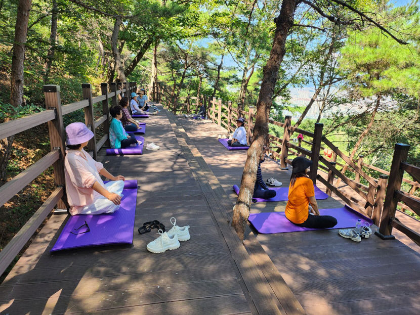 [경산시 가볼만한 곳] 일상에 지친 현대인 모여라…경산 치유의 숲서 힐링