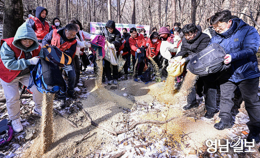 [포토뉴스] 팔공산 야생동물 먹이주기 행사