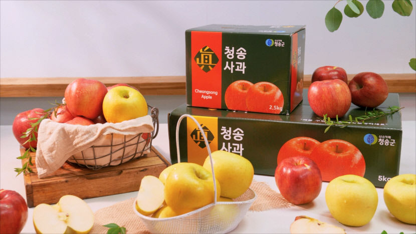 [설 선물 특집] 청송군, 11년 연속 한국 대표브랜드 大賞…천혜 자연이 만든 명품 청송사과