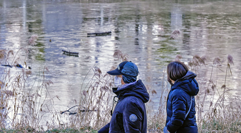 2024011701000531200021631