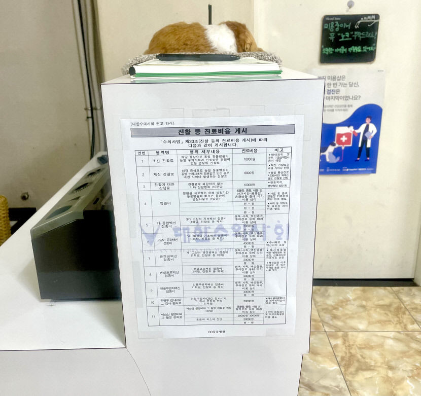 KakaoTalk_20240119_154204629