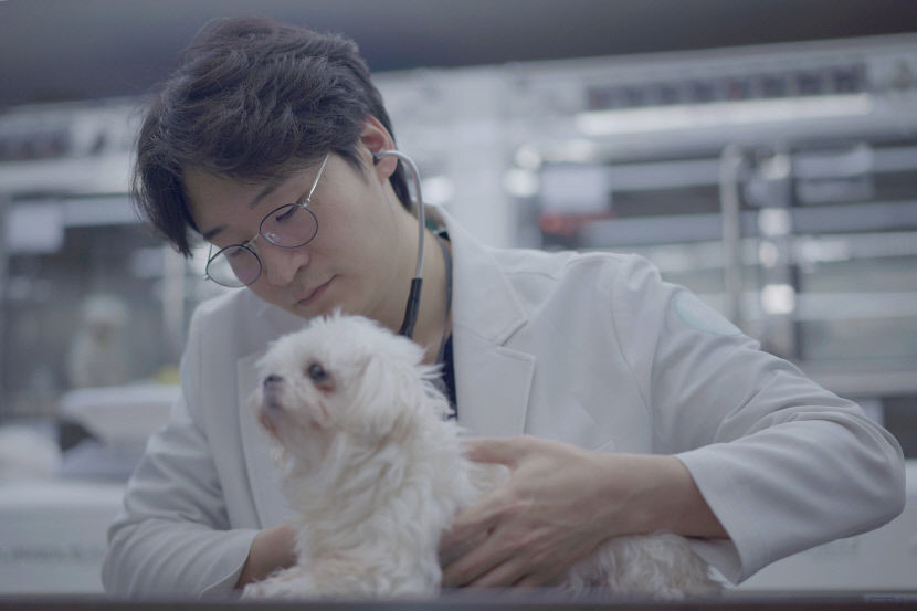 호흡 곤란·기침·운동불내성, 반려견 심장병의 80% 차지…수술 후 약물없이 생존 가능