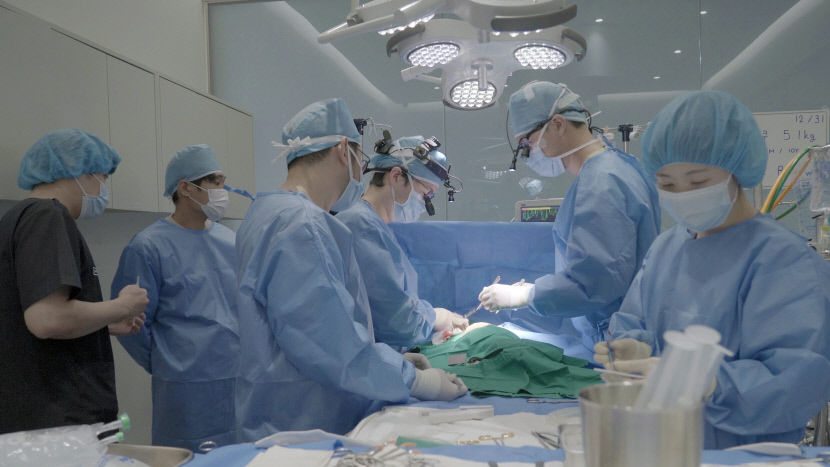 호흡 곤란·기침·운동불내성, 반려견 심장병의 80% 차지…수술 후 약물없이 생존 가능