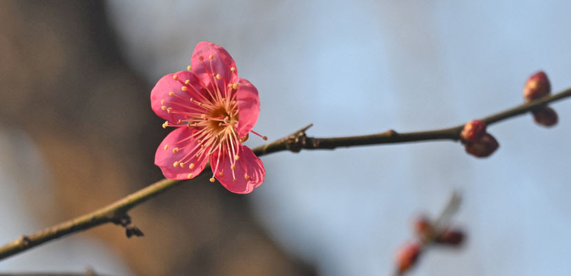 2024013101000969600039301