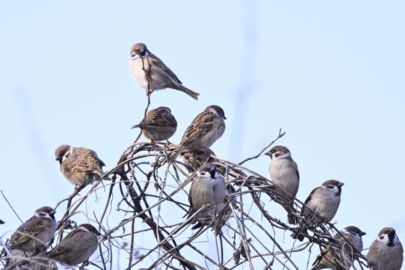 2024020801000253600009611