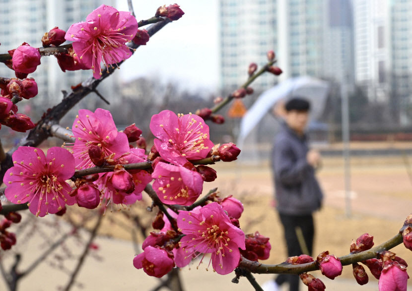 벌써 찾아온 봄?…아침부터 따듯했던 대구 최고기온 19.2℃