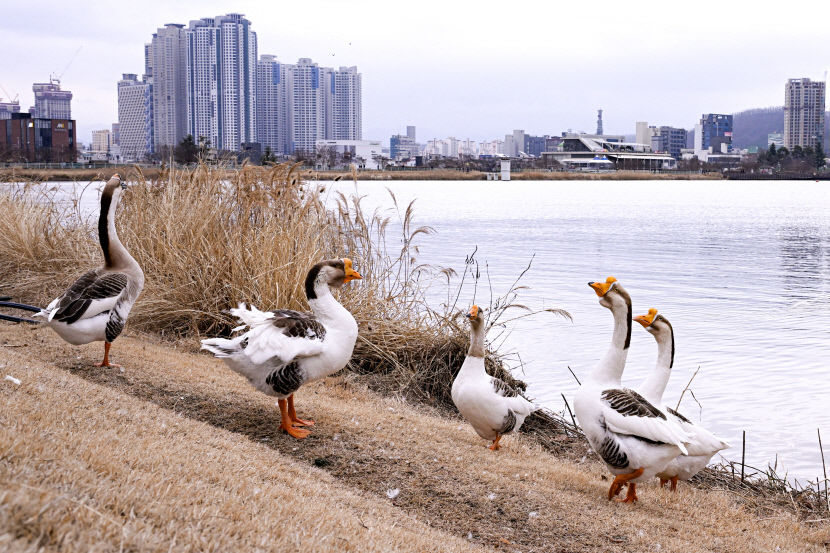 2024021601000473300018781