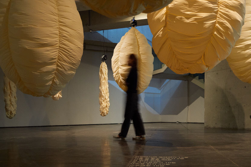 대구문화예술회관 현대미술특별전 우리는 원래 산만하다展