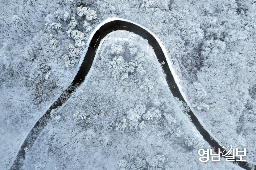 [포토뉴스] 트랙터가 그린 설산, 대구 비슬산